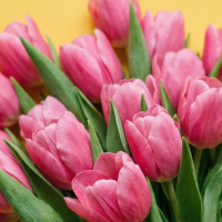 Самым прекрасным и неповторимым!